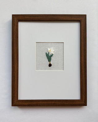 White Tulip