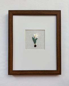 White Tulip