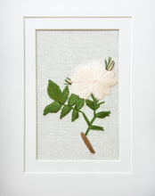 Load image into Gallery viewer, Dog Rose