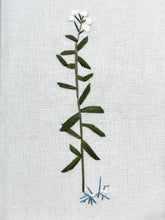 Load image into Gallery viewer, Coral Root Bittercress