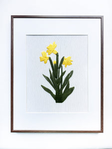 Daffodils