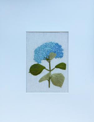 Hydrangea