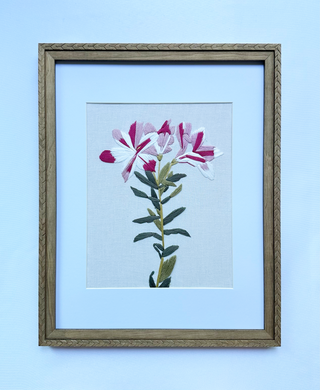 Peruvian Lily