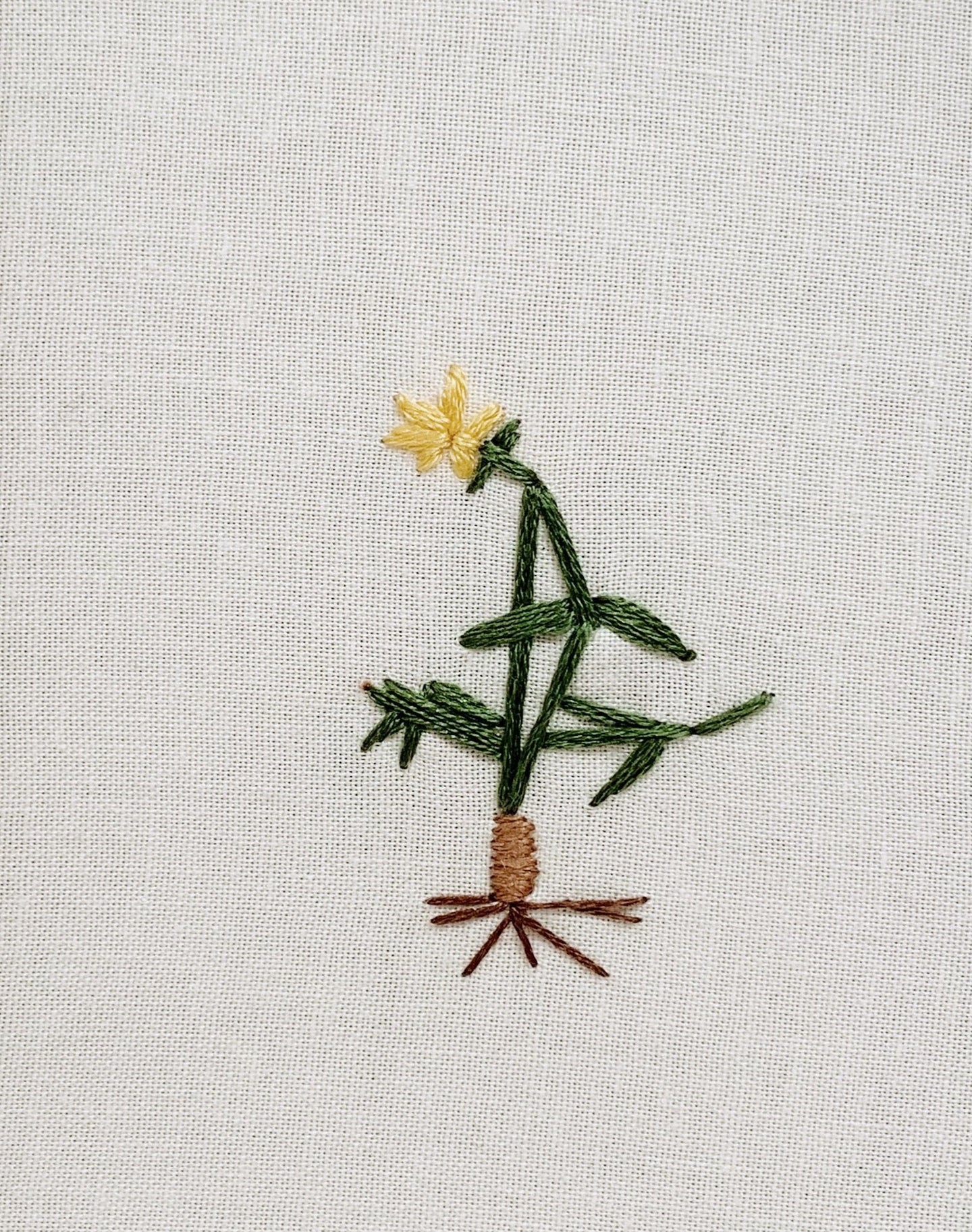 Wild Daffodil panel