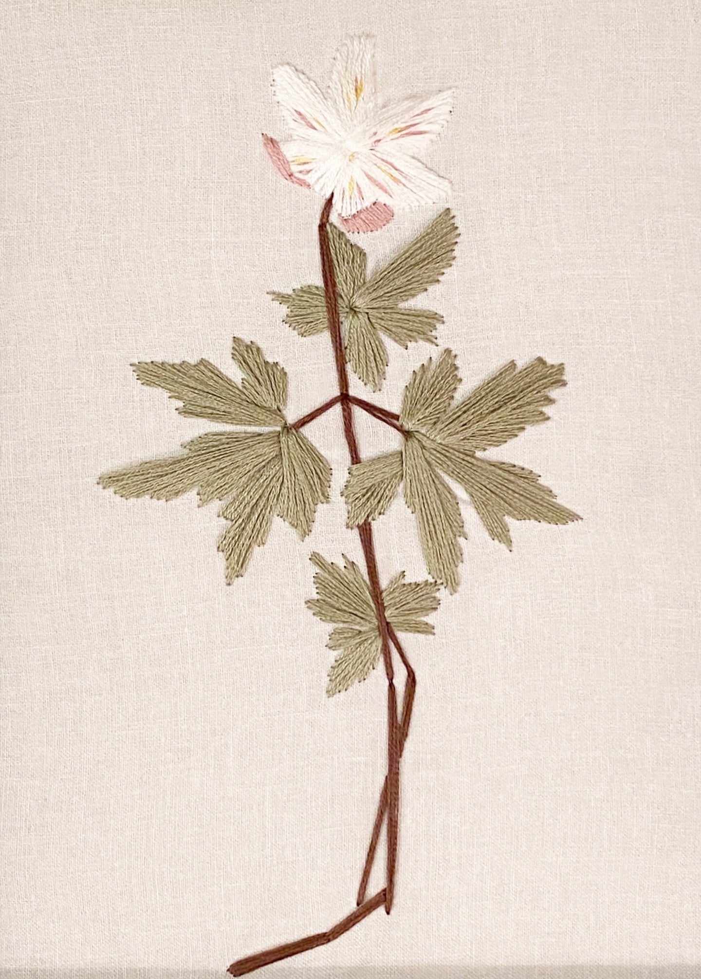 Wood Anemone panel