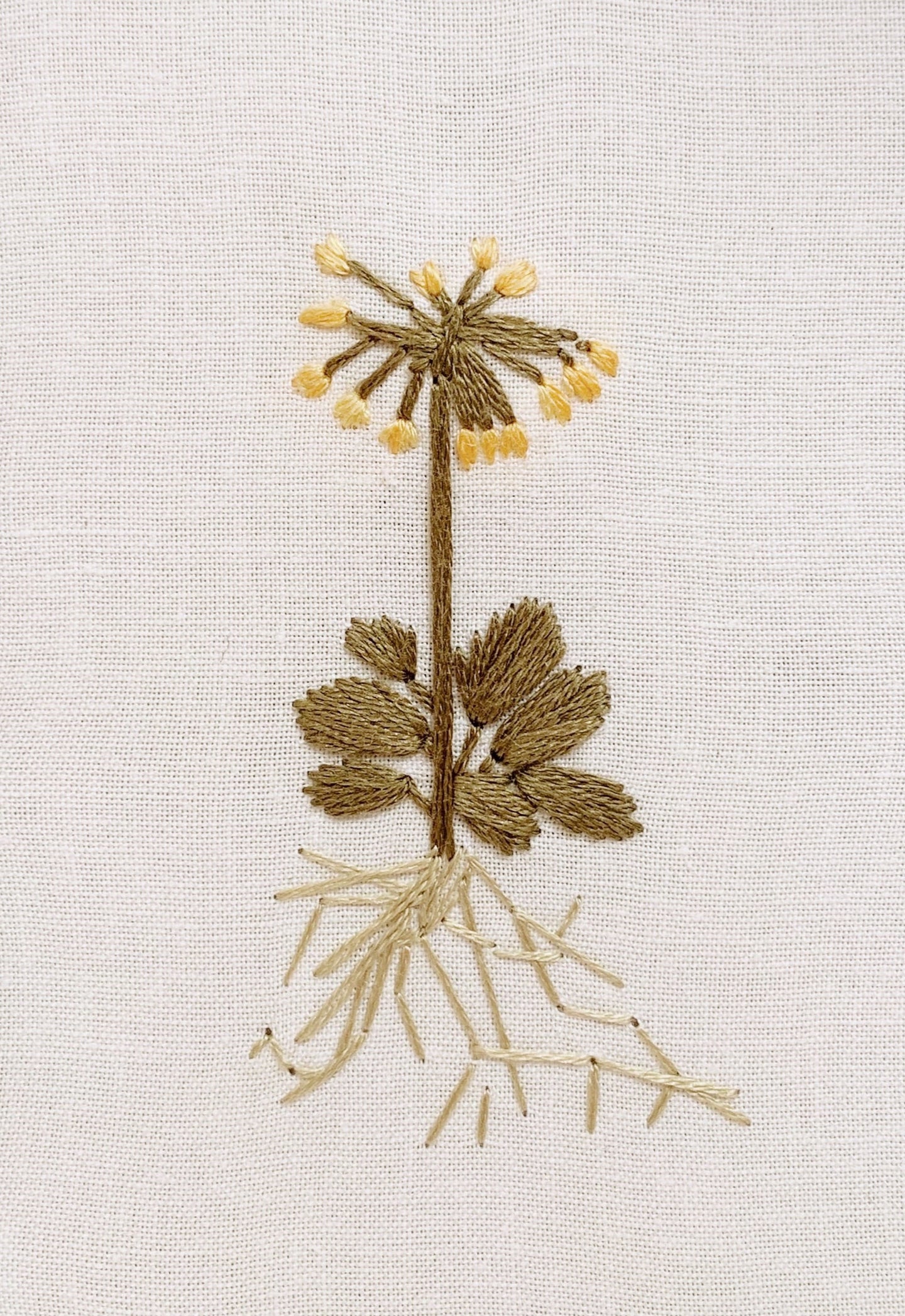 Cowslip panel