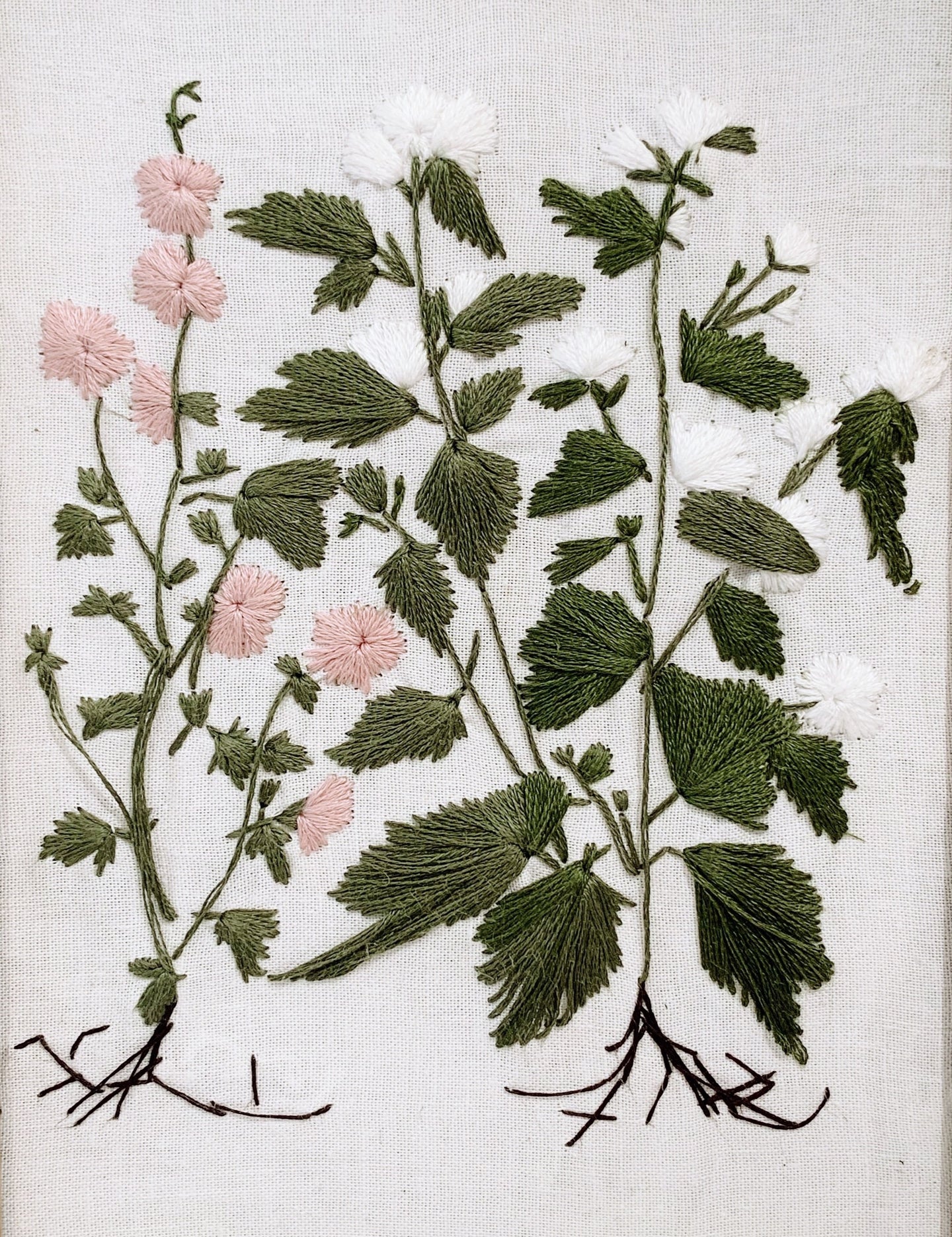 Hollyhock Mallow and Marsh Mallow panel