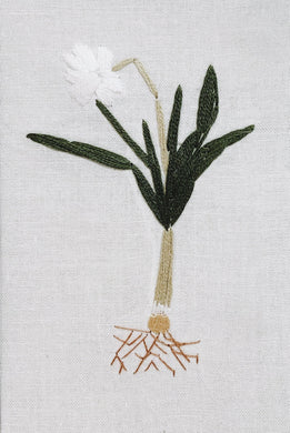 Lent Lily panel