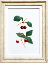 Load image into Gallery viewer, Cherries and Strawberries